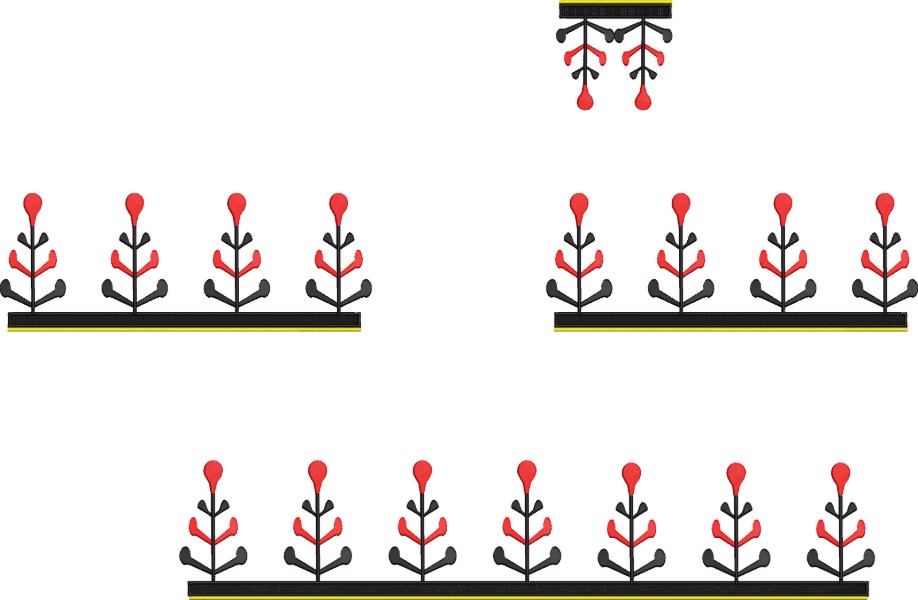 ERIFP0485: Senator/Kaftan File