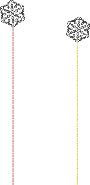 ERIFP0494: Senator/Kaftan File